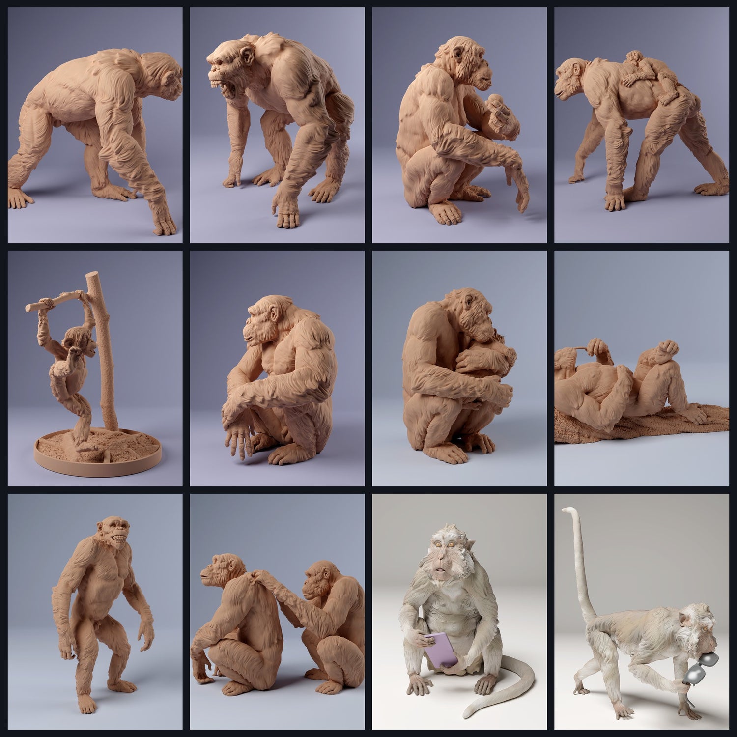 Cette image est l'image de catégorie pour la classe animale : Primates et Prosimiennes