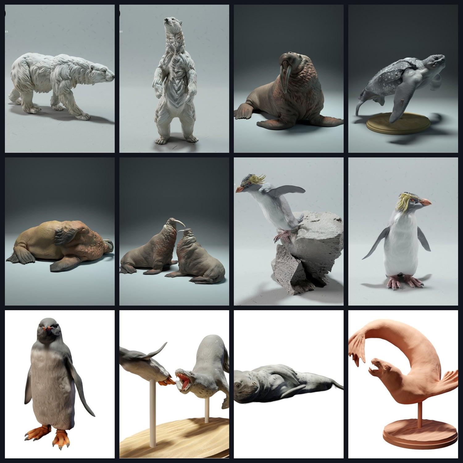 Cette image est l'image de catégorie pour Habitat : Côte & Mer peu profonde (Récifs/Estuaires)