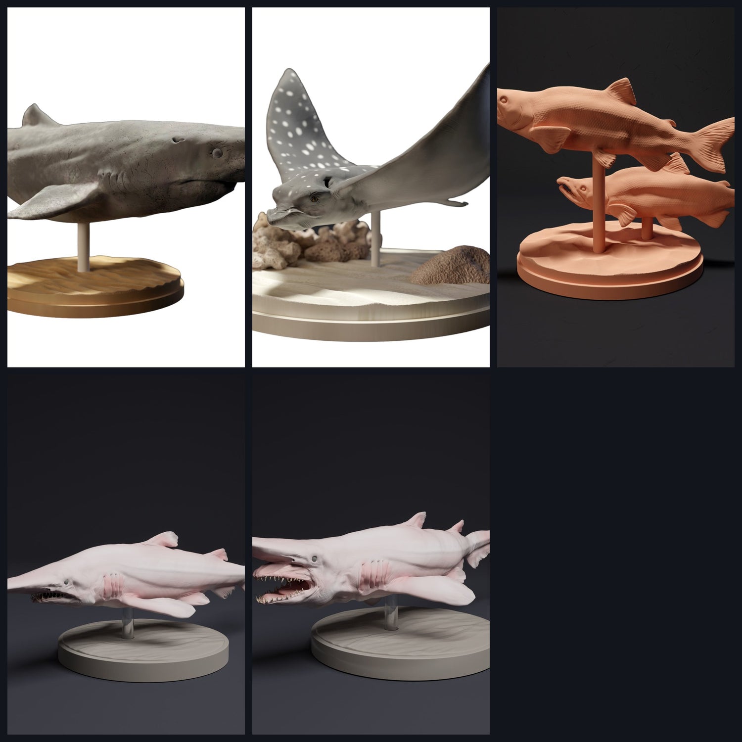 Cette image est l'image de catégorie pour la classe animale : Poissons et poissons cartilagineux