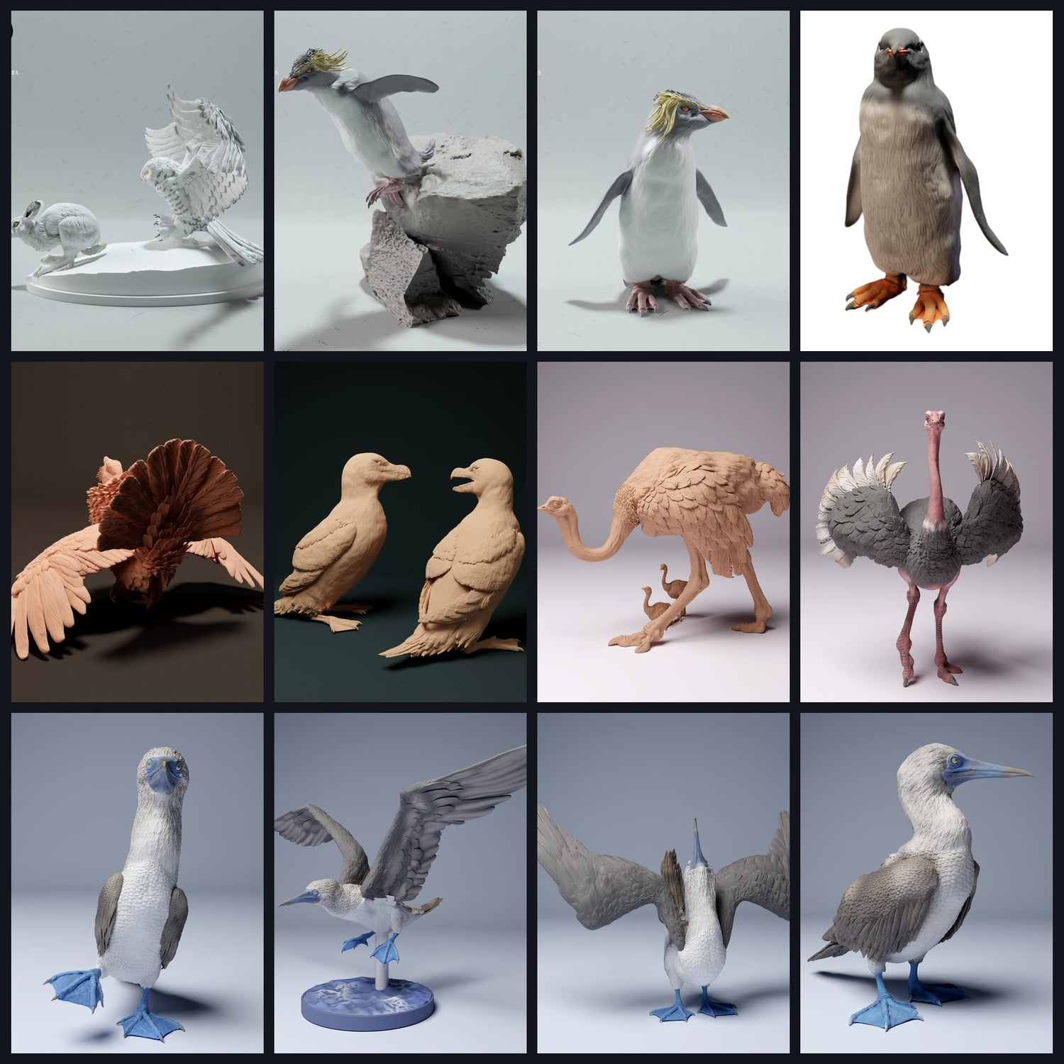 Cette image est l'image de catégorie pour la classe d'animaux : Oiseaux (y compris les pingouins)
