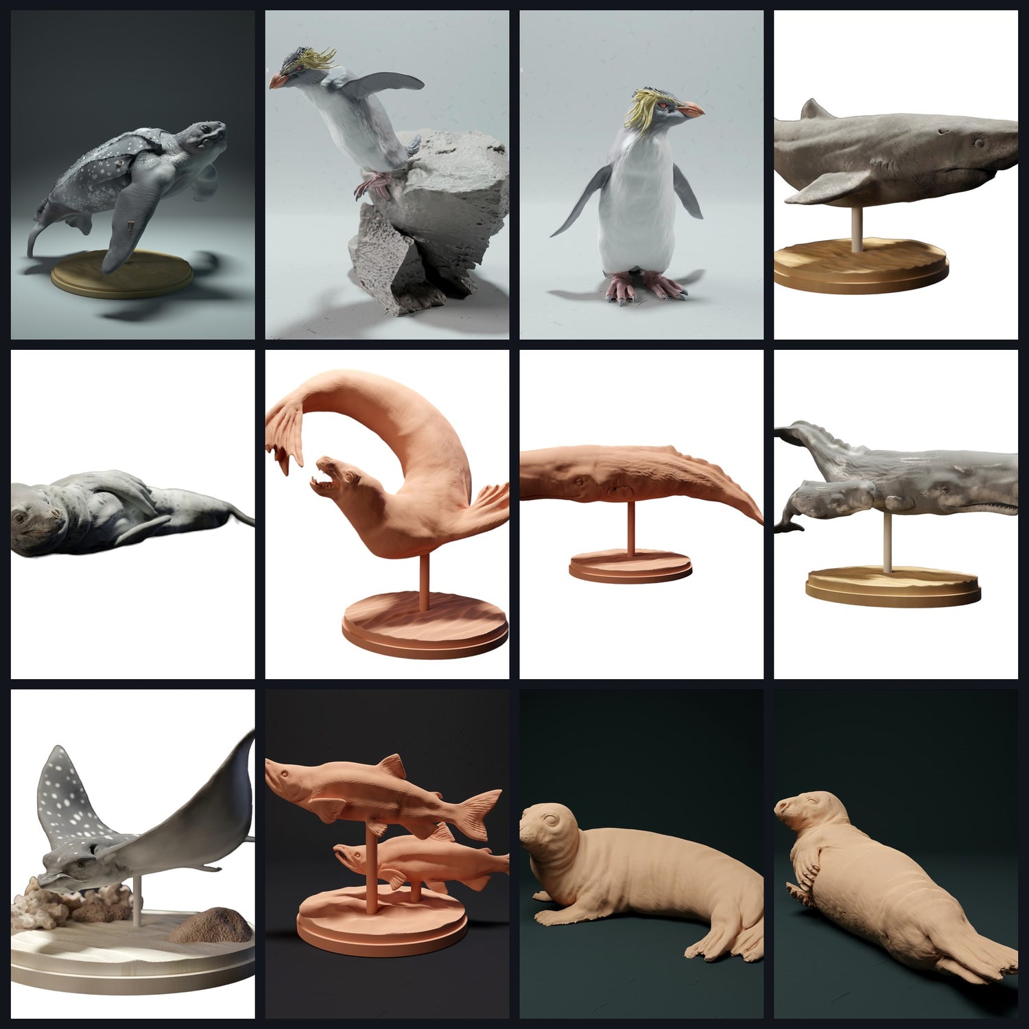 Cette image est l'image de catégorie pour Habitat : Océan ouvert