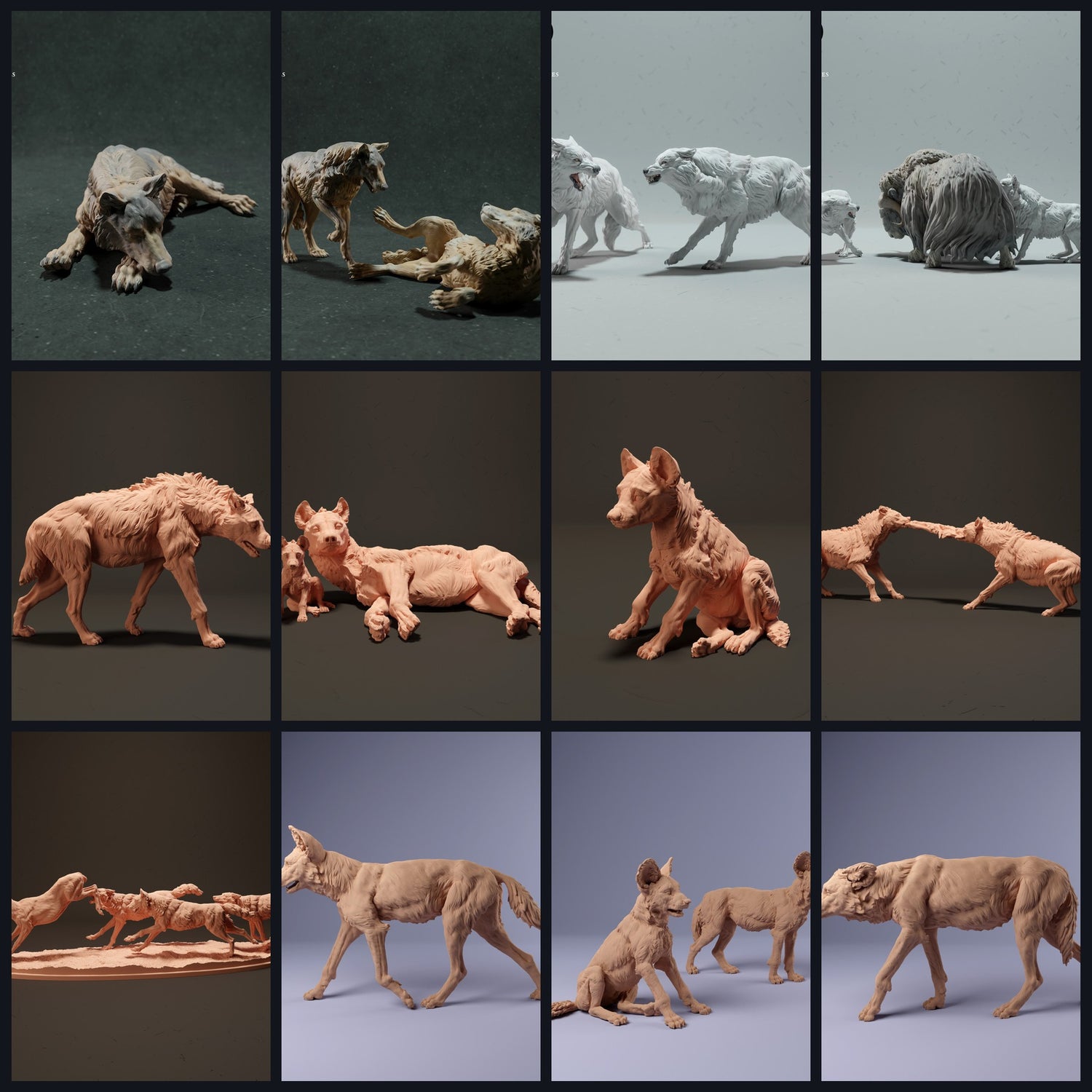 Cette image est l'image de catégorie pour la catégorie : Canidés & Tanuki