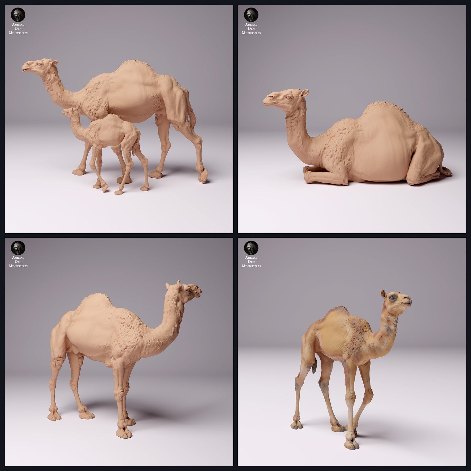 Cette image est l'image de catégorie pour la région : Moyen-Orient