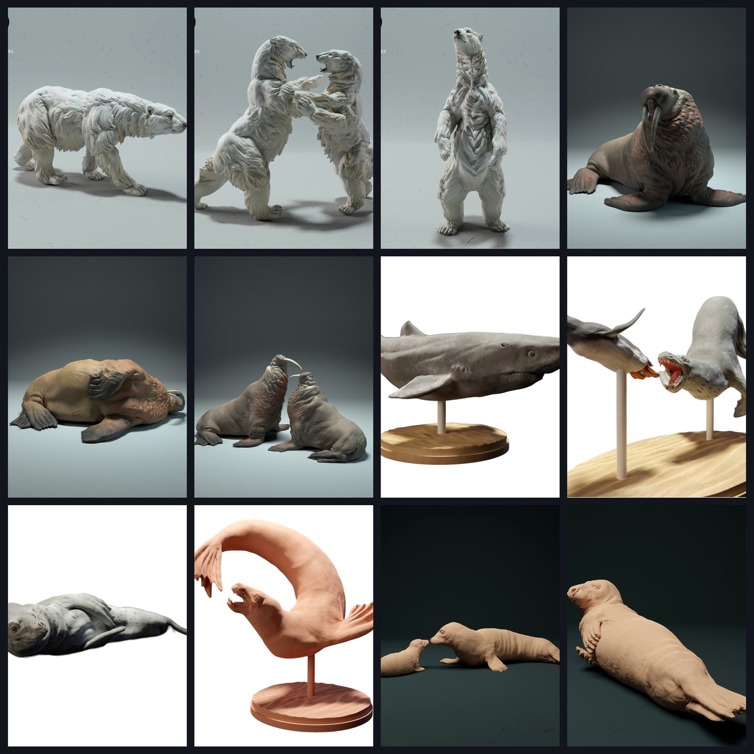 Cette image est l'image de catégorie pour Habitat : Océan Arctique