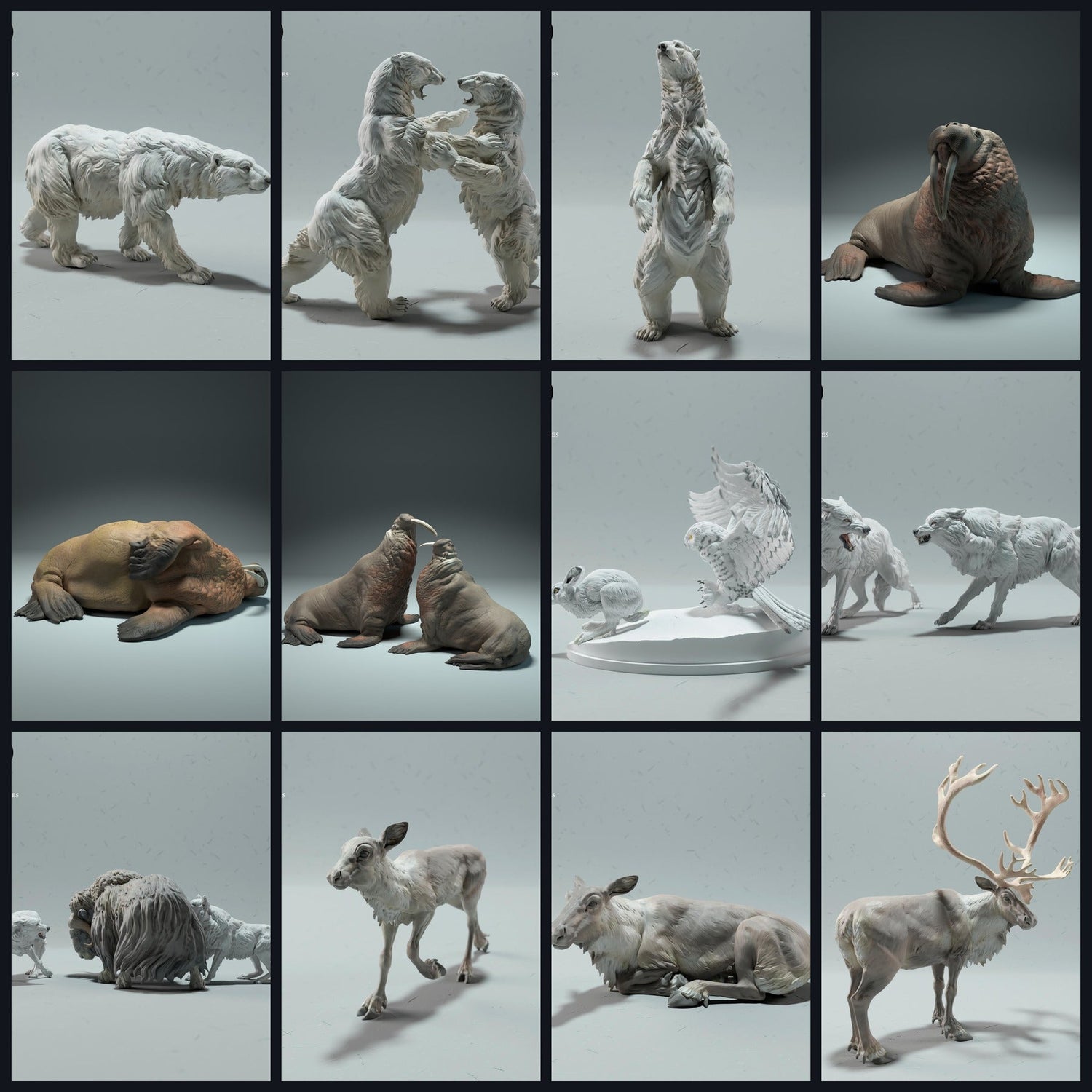 Dieses Bild ist das Kategoriebild für Lebensraum: Tundra/Polar