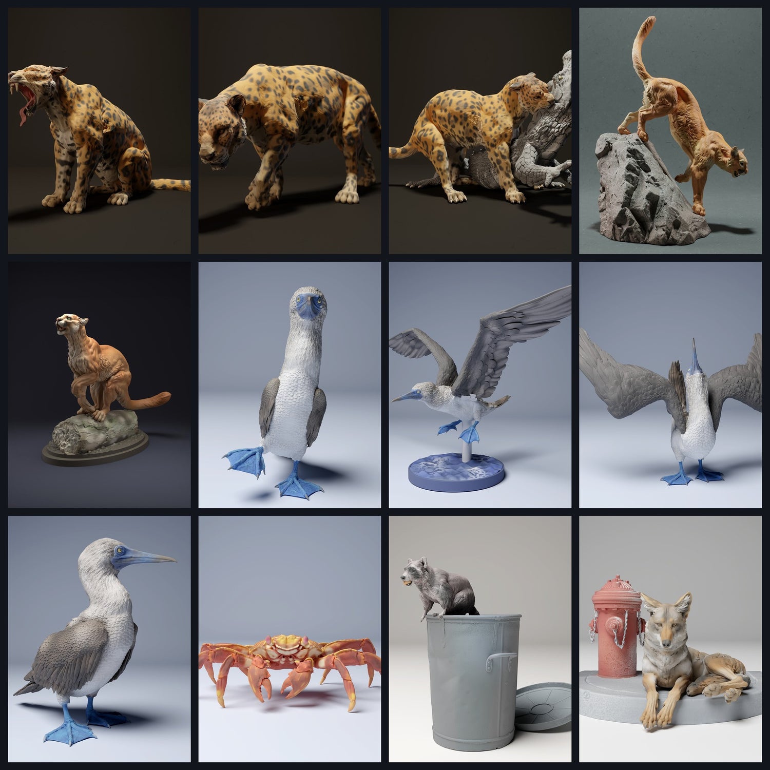 Cette image est l'image de catégorie pour la région : Amérique centrale