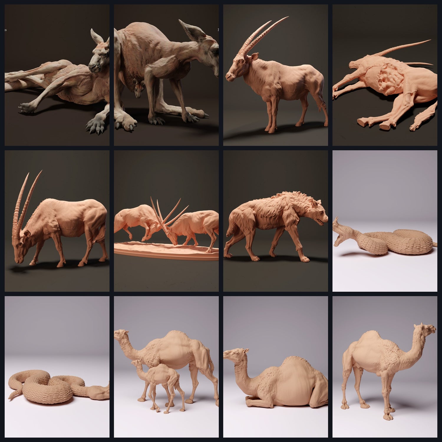 Cette image est l'image de catégorie pour Habitat : Désert/Semi-désert