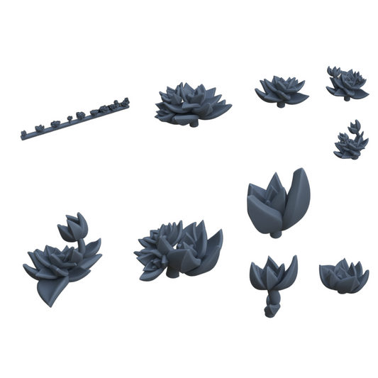 Photo de produit diorama et décoration de modélisme, accessoires : 0 : Plantes et végétaux : Succulentes
