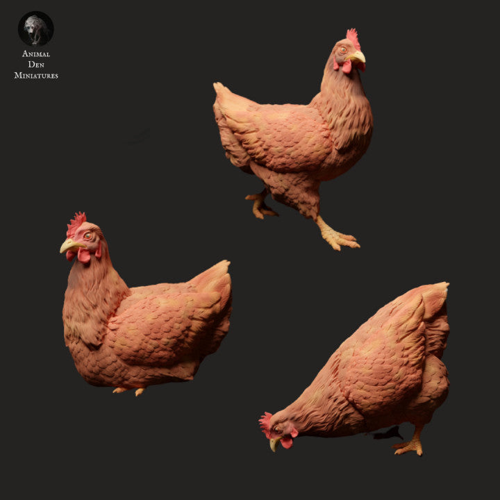 Photo de produit Figurine d'animal Diorama, modélisme : 0 : Figurines d'animaux de ferme : 3 poules - en train de manger, assises et courant
