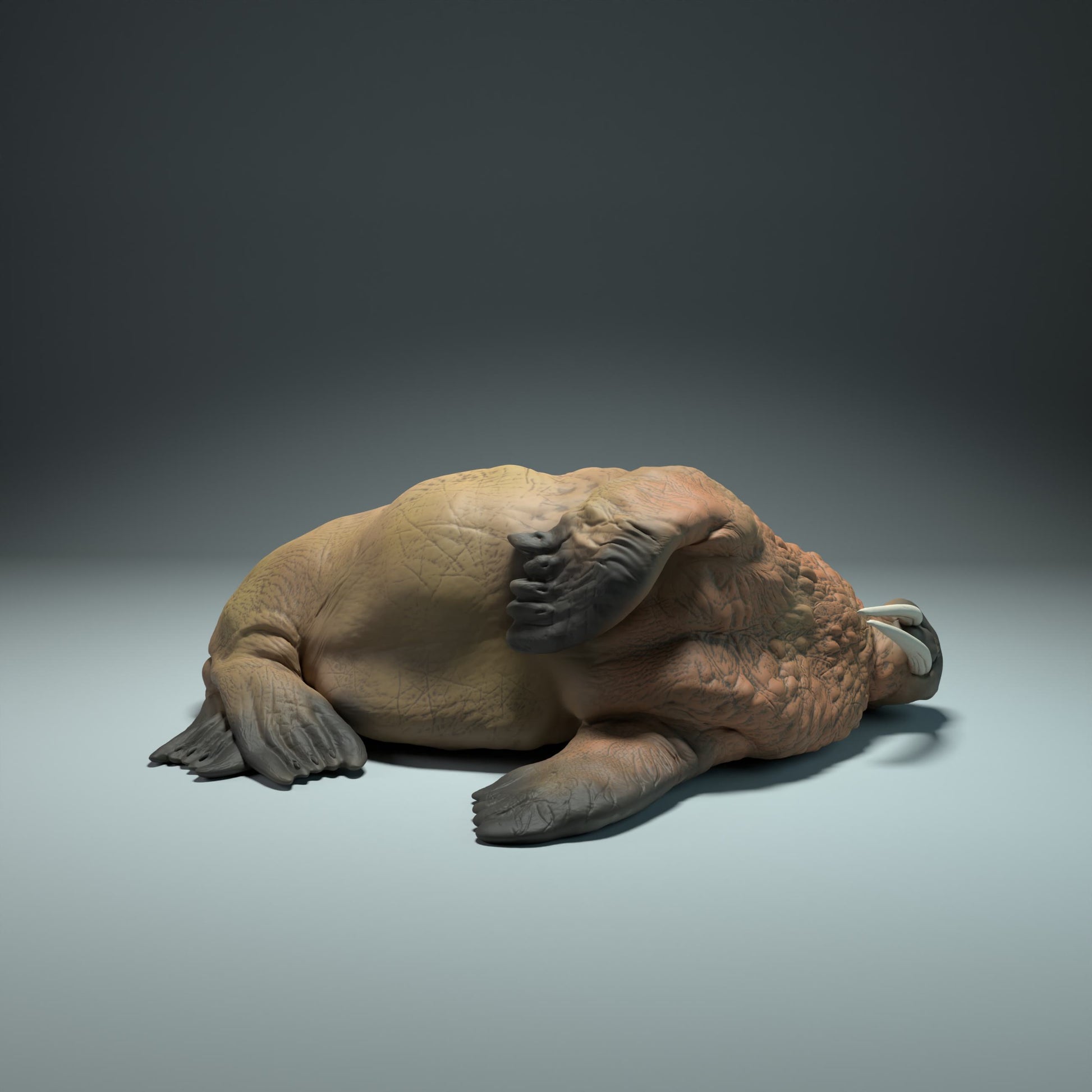 Photo de produit Figurine d'animal Diorama, Modélisme : 0 : Figurine marine : morse endormi (Ref 01_01_49)