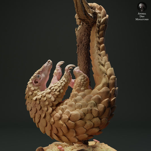 Photo produit figurine animale diorama, modélisme : 0 : Figurine animale de jungle : pangolin malais suspendu - pangolin de Sunda (Ref 01_01_06)