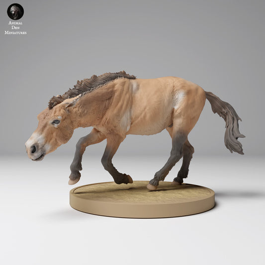 Photo de produit Figurine d'animal Diorama, Modélisme : 0 : Figurine d'animal sauvage : cheval de Przewalski en mouvement (Réf 24_12_01)