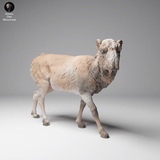 Photo de produit Figurine animale Diorama, Modélisme : 0 : Figurine de faune : Antilope saiga mongole – Femelle en pelage d'hiver (Ref 24_12_14)