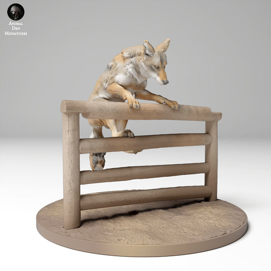 Photo de produit Figurine d'animal Diorama, Modélisme : 0 : Figurine d'animal sauvage : coyote sautant par-dessus une clôture (Ref 24_11_07)