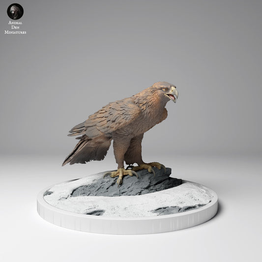 Photo de produit Figurine d'animal Diorama, Modélisme : 0 : Figurine de faune : Aigle royal (Réf 24_12_12)