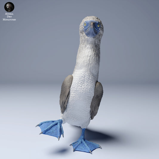 Photo de produit Figurine d'animal Diorama, Modélisme : 0 : Figurine marine : Fou de Bassan – Blue Footed Booby (Réf 24_08_06)