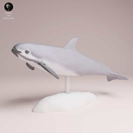 Photo de produit Figurine animale Diorama, modélisme : 0 : Figurine marine : Vaquita – Marsouin (Réf 25_07_05)