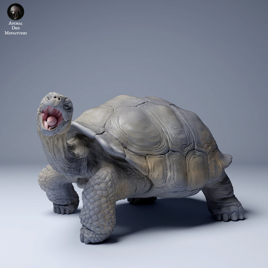 Photo de produit Figurine animale diorama, modélisme : 0 : Figurine d'animal de jungle : tortue géante des Galápagos en train de manger (Ref 24_08_03)