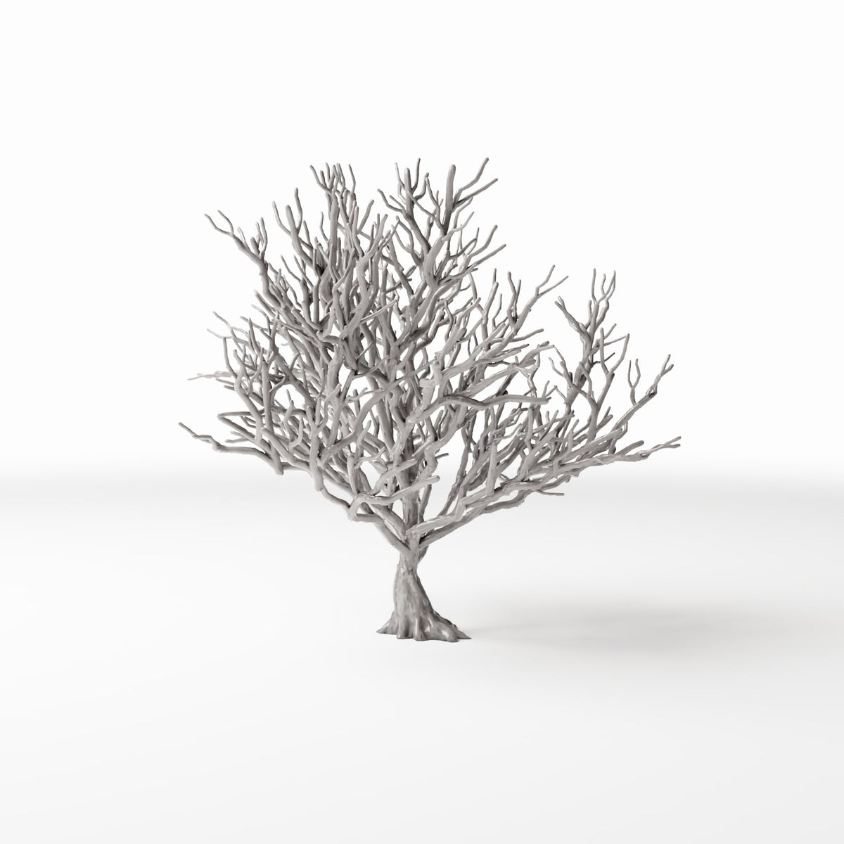 Photo produit pour diorama et modélisme 3 : Plantes pour diorama : buisson sans feuilles avec racines (Ref. 1091D)