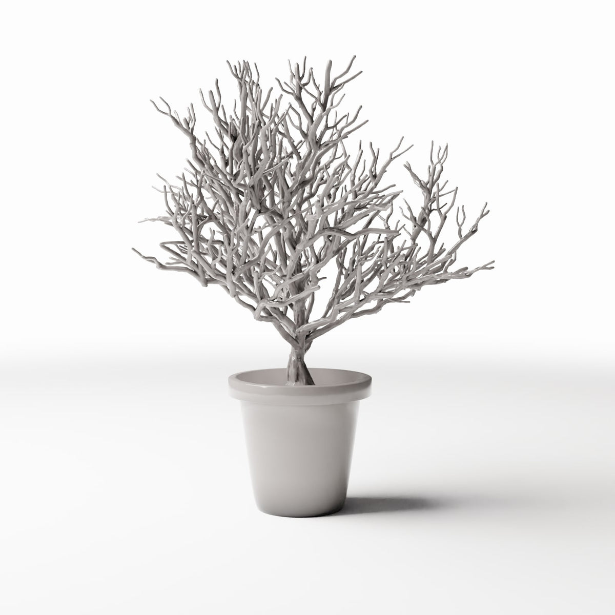 Photo produit pour diorama et modélisme 3 : Plantes pour diorama : plante en pot avec arbuste ornemental ramifié (Ref. 1096D)