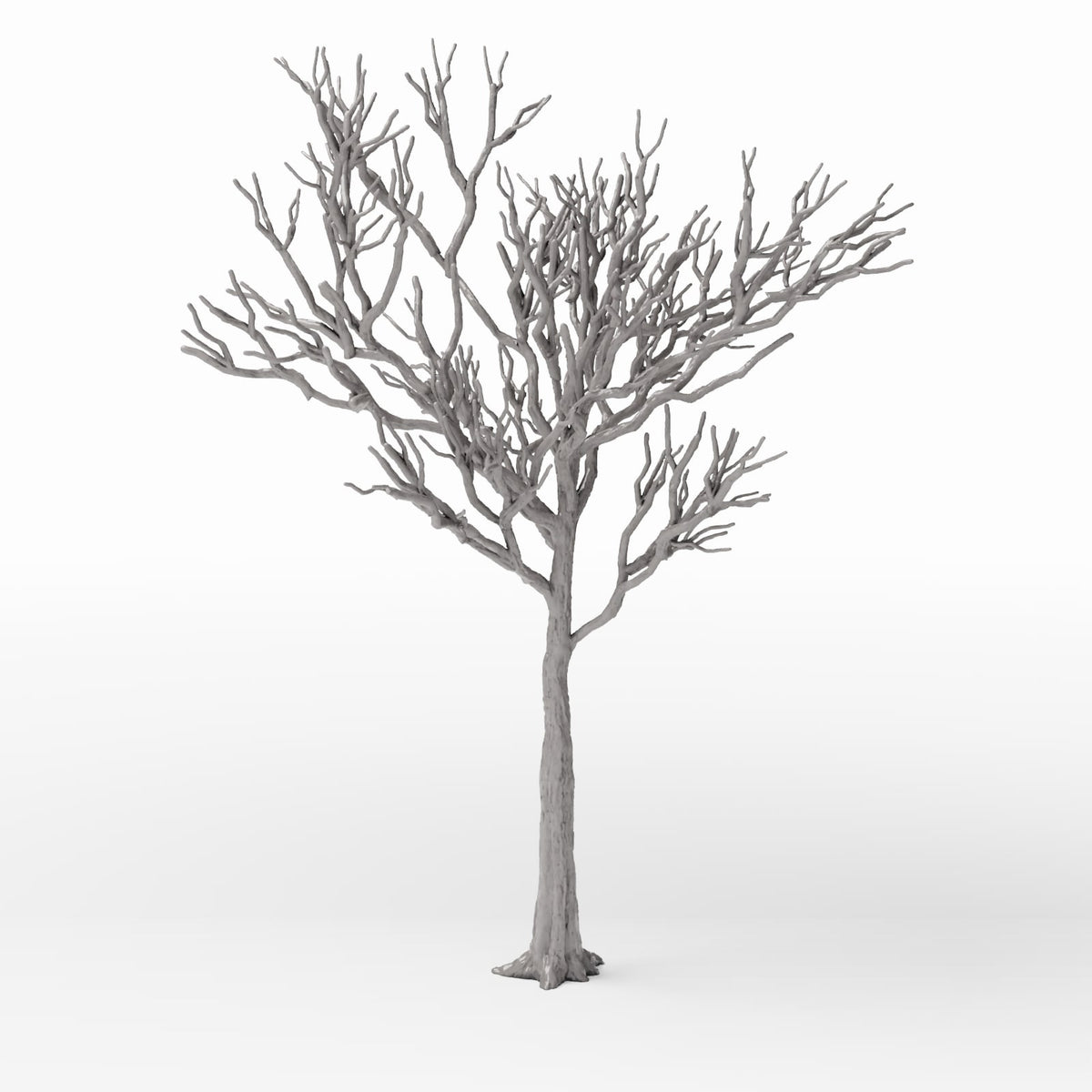 Photo produit pour diorama et modélisme 3 : Plantes pour diorama : arbre caduc détaillé sans feuilles (Ref. 1104D)