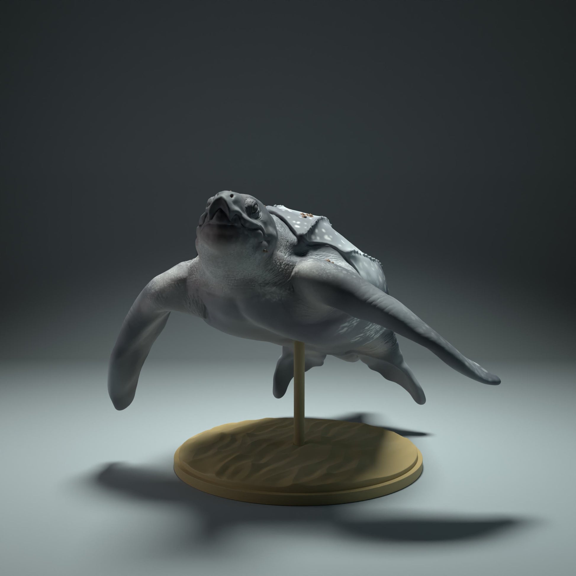 Photo de produit Figurine d'animal Diorama, Modélisme : 0 : Figurine marine : tortue de mer flottante (Réf 01_01_32)