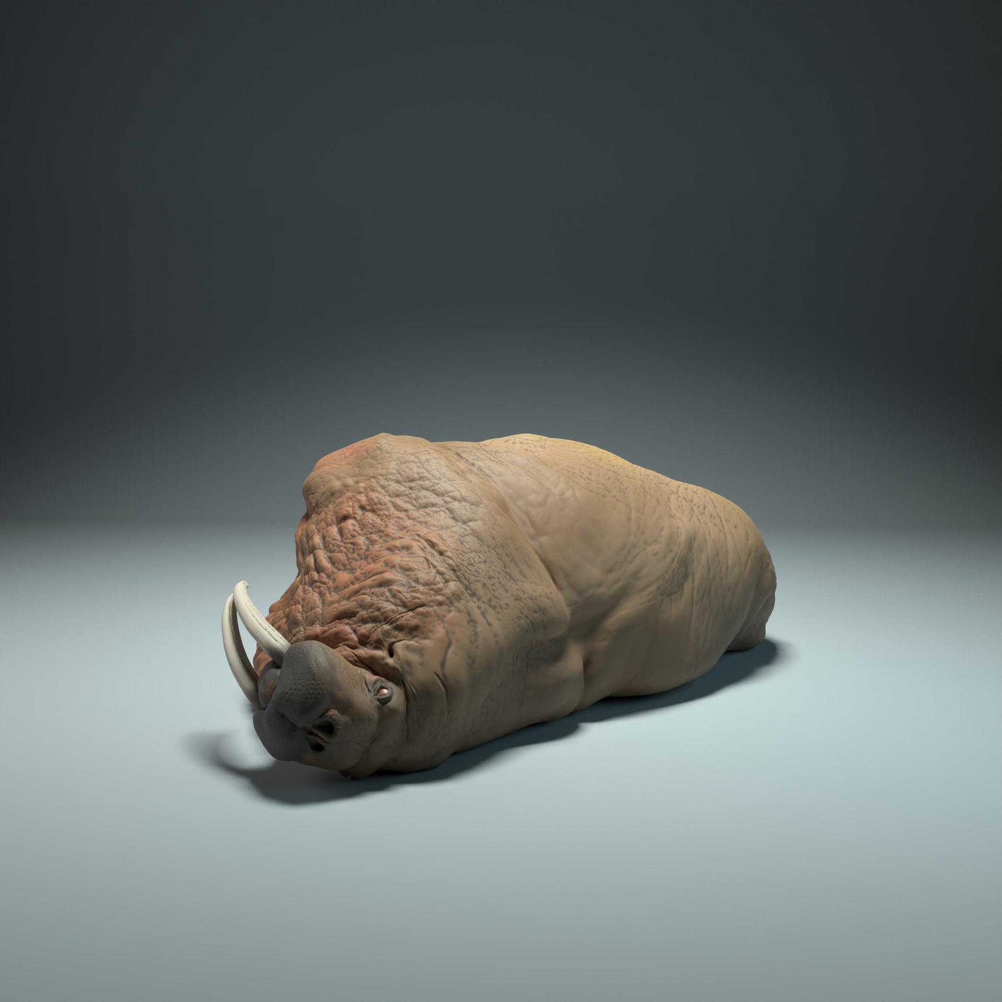 Photo de produit Figurine d'animal Diorama, Modélisme : 0 : Figurine marine : morse endormi (Ref 01_01_49)