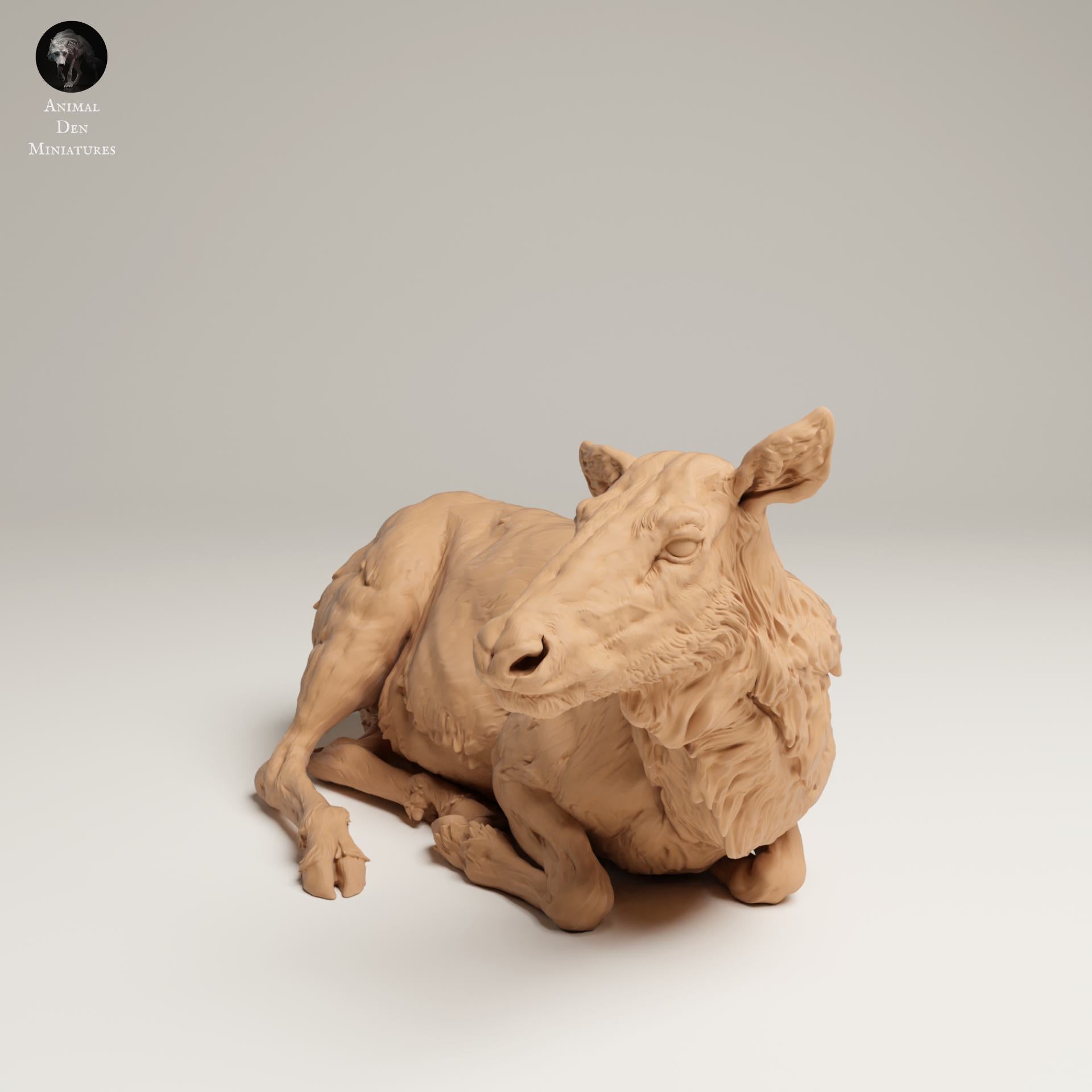 Photo de produit Figurine animale Diorama, Modélisme : 0 : Figurine de faune : Élan couché – Rocky Mountain (Réf 25_06_14)