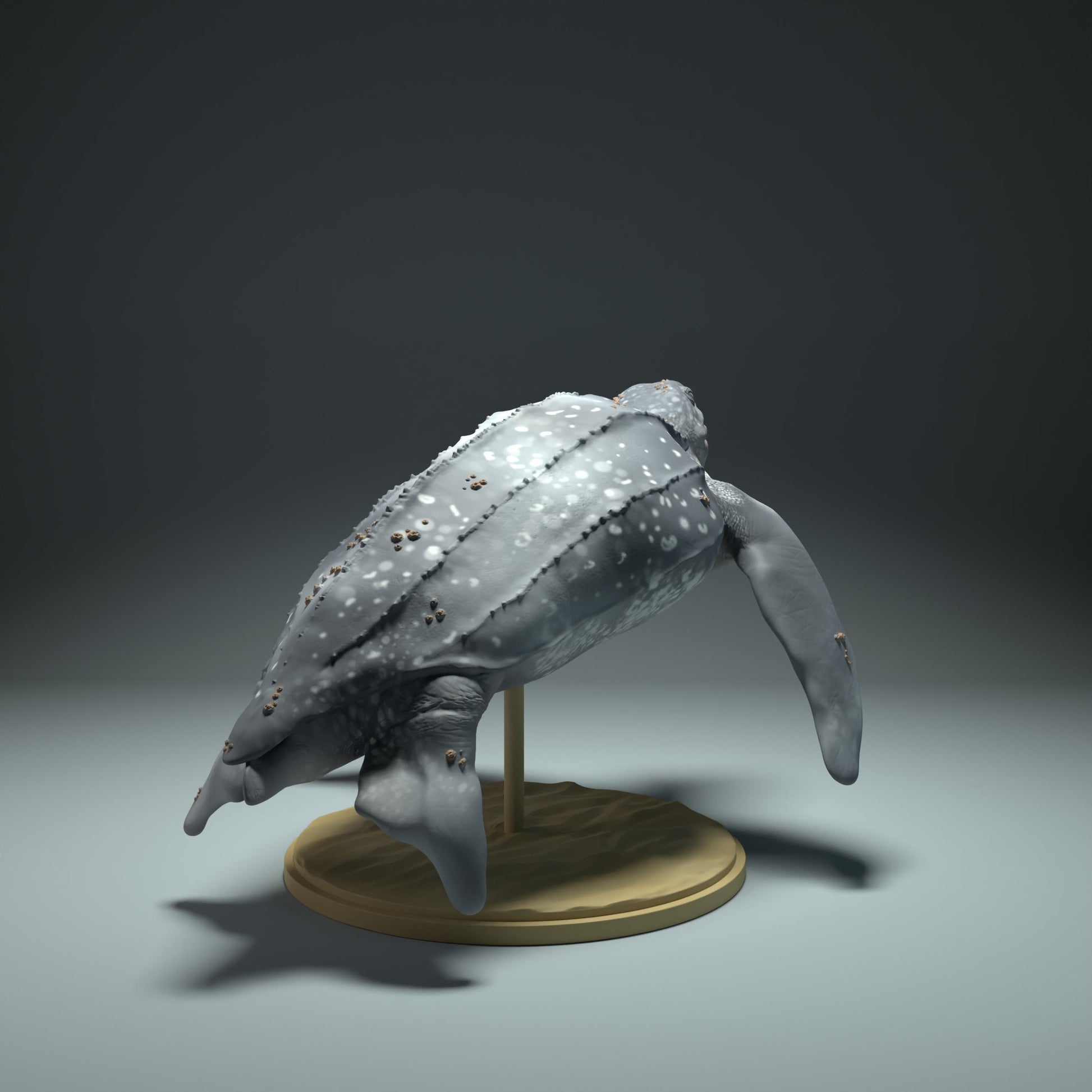 Photo de produit Figurine d'animal Diorama, Modélisme : 0 : Figurine marine : tortue de mer flottante (Réf 01_01_32)