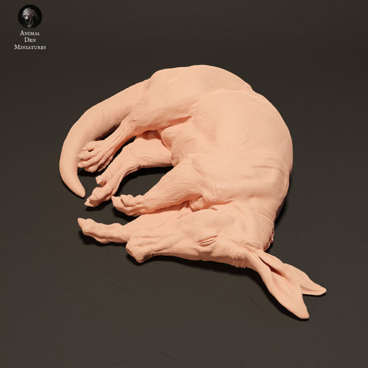 Photo de produit Figurine d'animal Diorama, modélisme : 0 : Aardvark dormant : Animaux d'Afrique