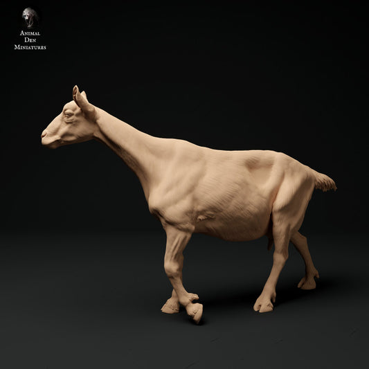 Photo de produit Figurine d'animal Diorama, Modélisme : 0 : Chèvre des Alpes : en marche