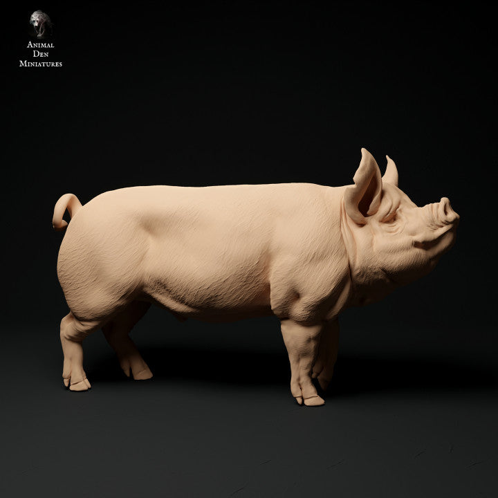 Photo de produit Figurine d'animal Diorama, modélisme : 0 : Figurines d'animaux de ferme : Sanglier - Cochon Berkshire