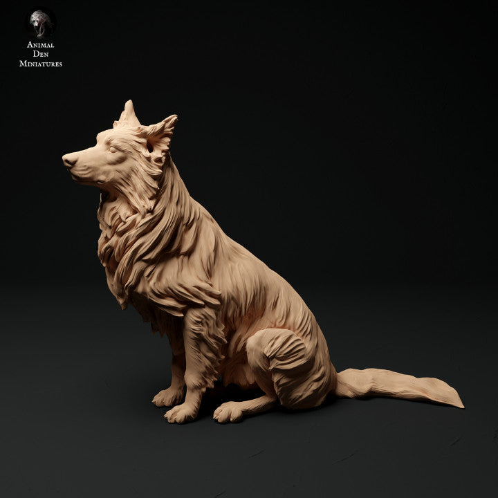 Photo de produit Figurine d'animal Diorama, modélisme : 0 : Figurine d'animal de compagnie : chien assis - Border Collie