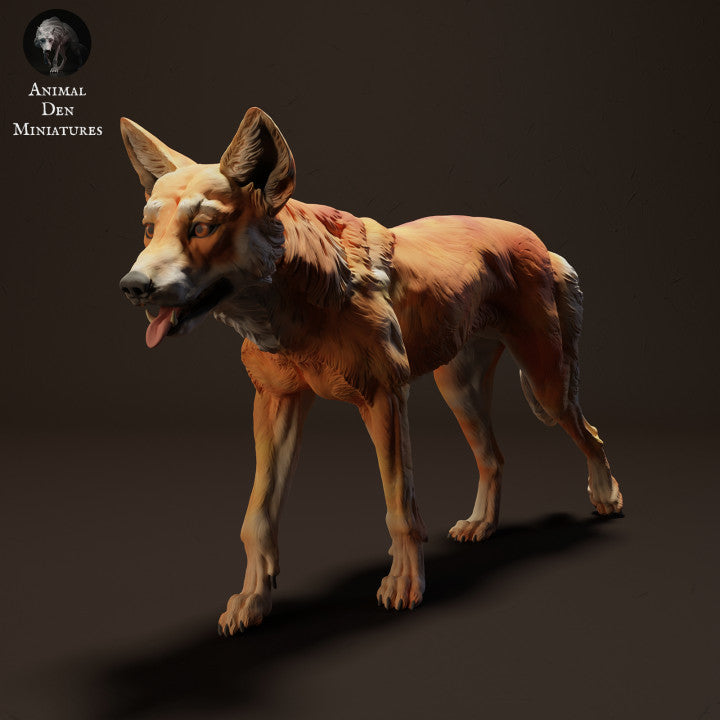 Photo produit figurine animale Animal Den Miniatures 2 : figurine d’animal sauvage : Dingo - en marche (23_04_07)