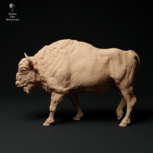 Photo de produit Figurine animale Diorama, modélisme : 0 : Bison mâle marchant : Animaux d'Europe