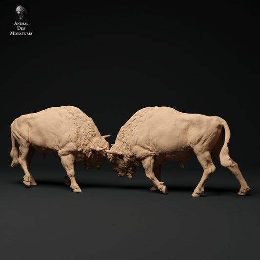 Photo de produit Figurine animale diorama, modélisme : 0 : Combat de taureaux bisons : Animaux d'Europe