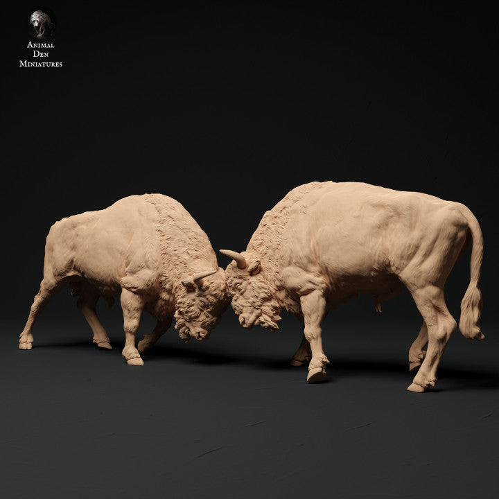 Photo de produit Figurine animale diorama, modélisme : 0 : Combat de taureaux bisons : Animaux d'Europe