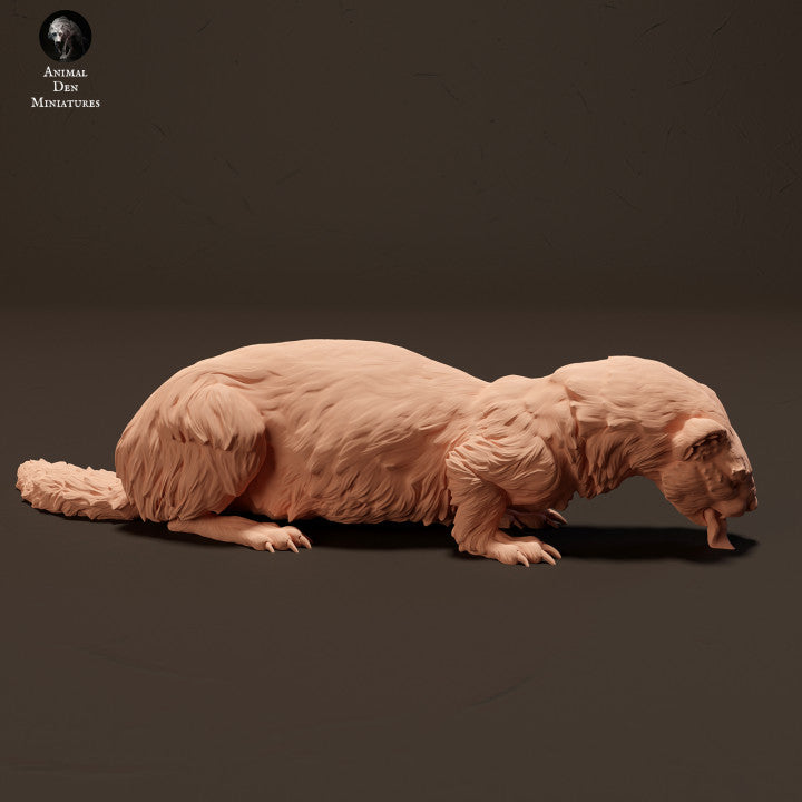 Photo de produit Figurine animale Diorama, Modélisme : 0 : Furet européen/ Iltis en train de manger : Animaux d'Europe