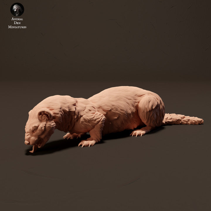 Photo de produit Figurine animale Diorama, Modélisme : 0 : Furet européen/ Iltis en train de manger : Animaux d'Europe