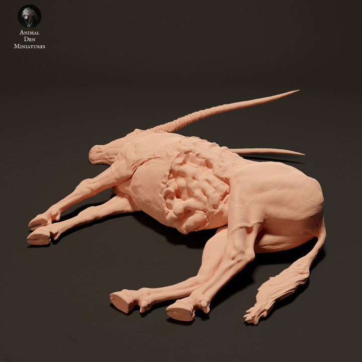 Photo de produit Figurine animale Diorama, modélisme : 0 : Cadavre de Gemsbok Antilope : Animaux d'Afrique