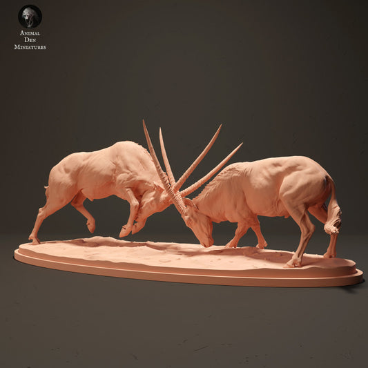 Photo de produit Figurine d'animal Diorama, modélisme : 0 : Gemsbok antilopes en train de se battre : Animaux d'Afrique