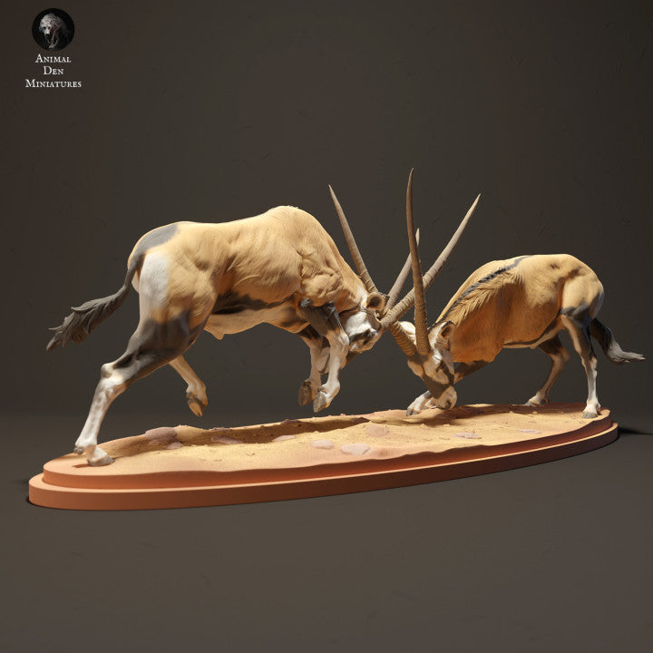 Photo de produit Figurine d'animal Diorama, modélisme : 0 : Gemsbok antilopes en train de se battre : Animaux d'Afrique