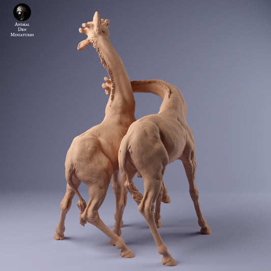 Photo de produit Figurine d'animal Diorama, modélisme : 0 : Deux mâles girafes se battent : Animaux d'Afrique