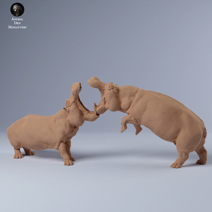 Photo de produit Figurine d'animal Diorama, modélisme : 0 : Hippopotame mâle en train de se battre : Animaux d'Afrique