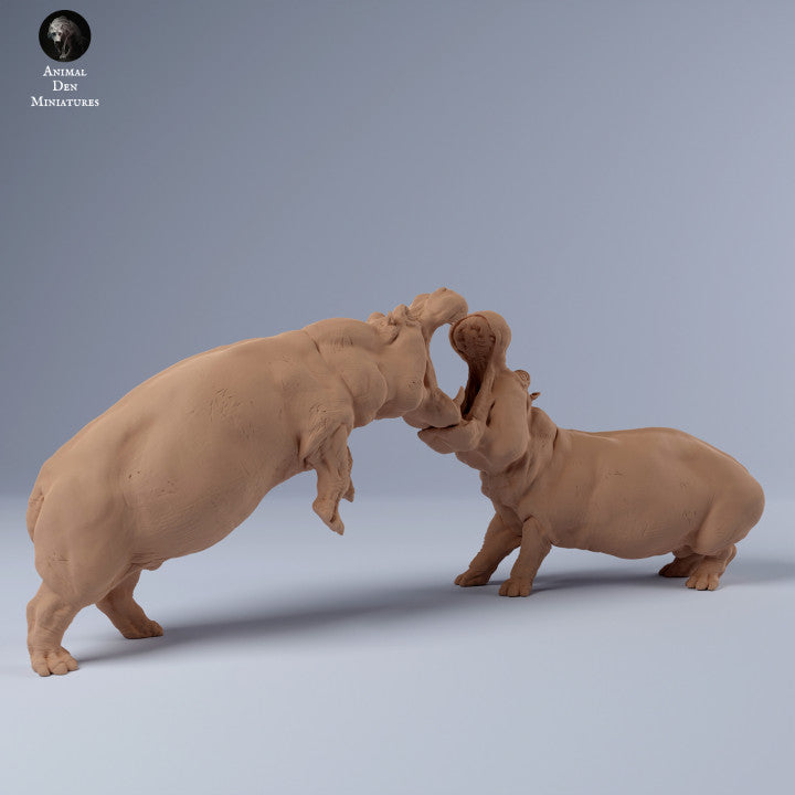 Photo de produit Figurine d'animal Diorama, modélisme : 0 : Hippopotame mâle en train de se battre : Animaux d'Afrique