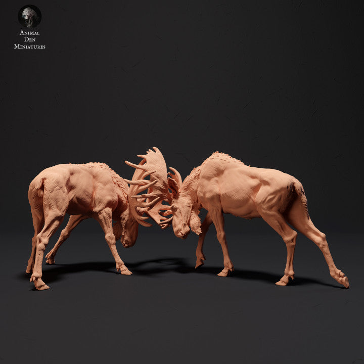 Photo de produit Figurine animale Diorama, modélisme : 0 : Énormes élans en train de se battre : Animaux du Nord