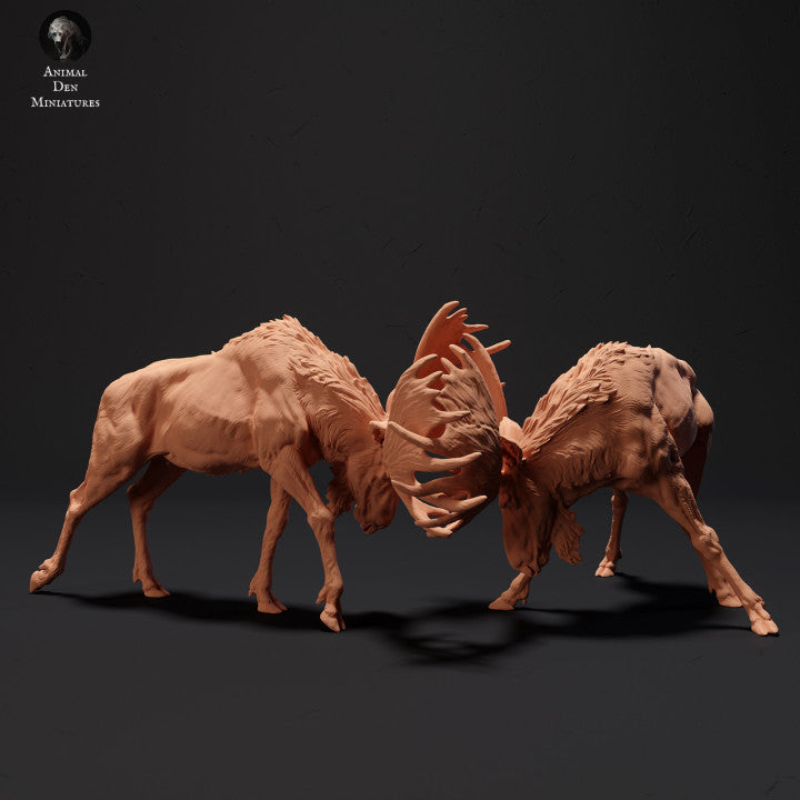 Photo de produit Figurine animale Diorama, modélisme : 0 : Énormes élans en train de se battre : Animaux du Nord