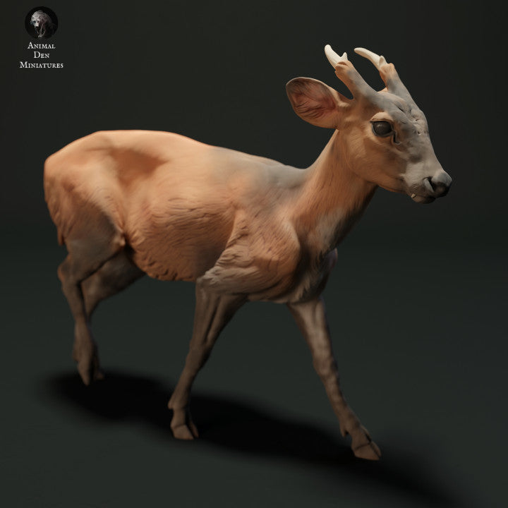 Photo produit figurine animale Animal Den Miniatures 2 : figurine d’animal sauvage : cerf muntjac (23_05_04)