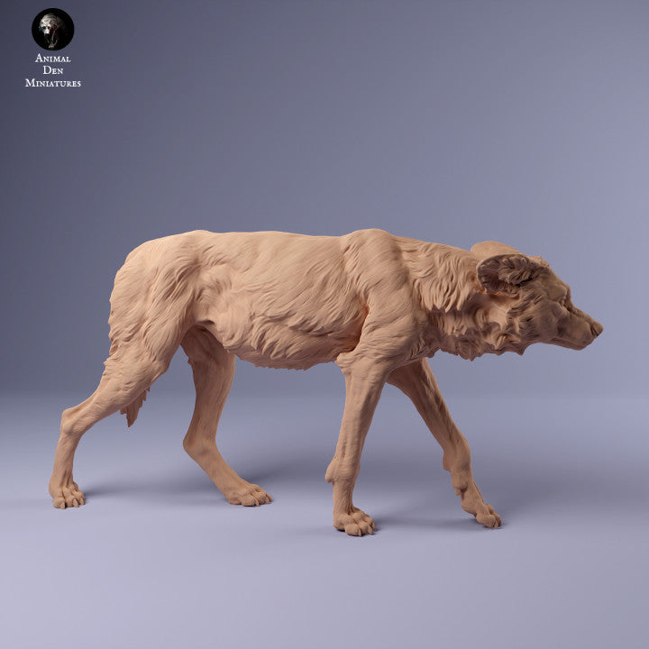 Photo de produit Figurine animale diorama, modélisme : 0 : Chien sauvage africain en train de ramper : Animaux d'Afrique