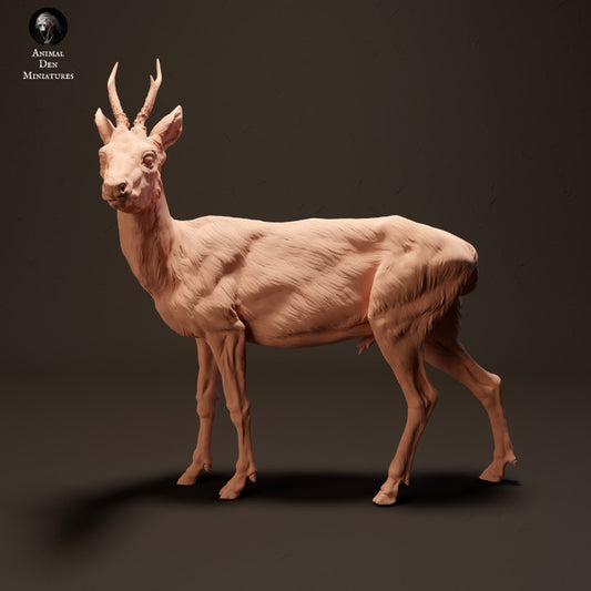 Photo de produit Figurine d'animal Diorama, modélisme : 0 : Cerf européen : Animaux d'Europe